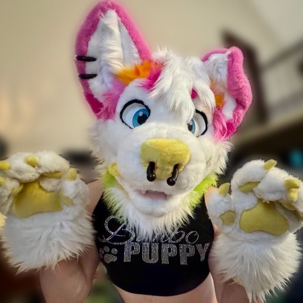 Tech_Pup