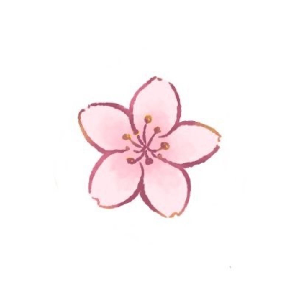 ﾊﾔﾃ