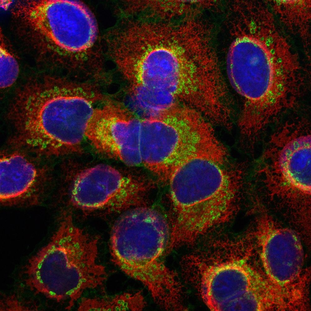 ViralVax Lab