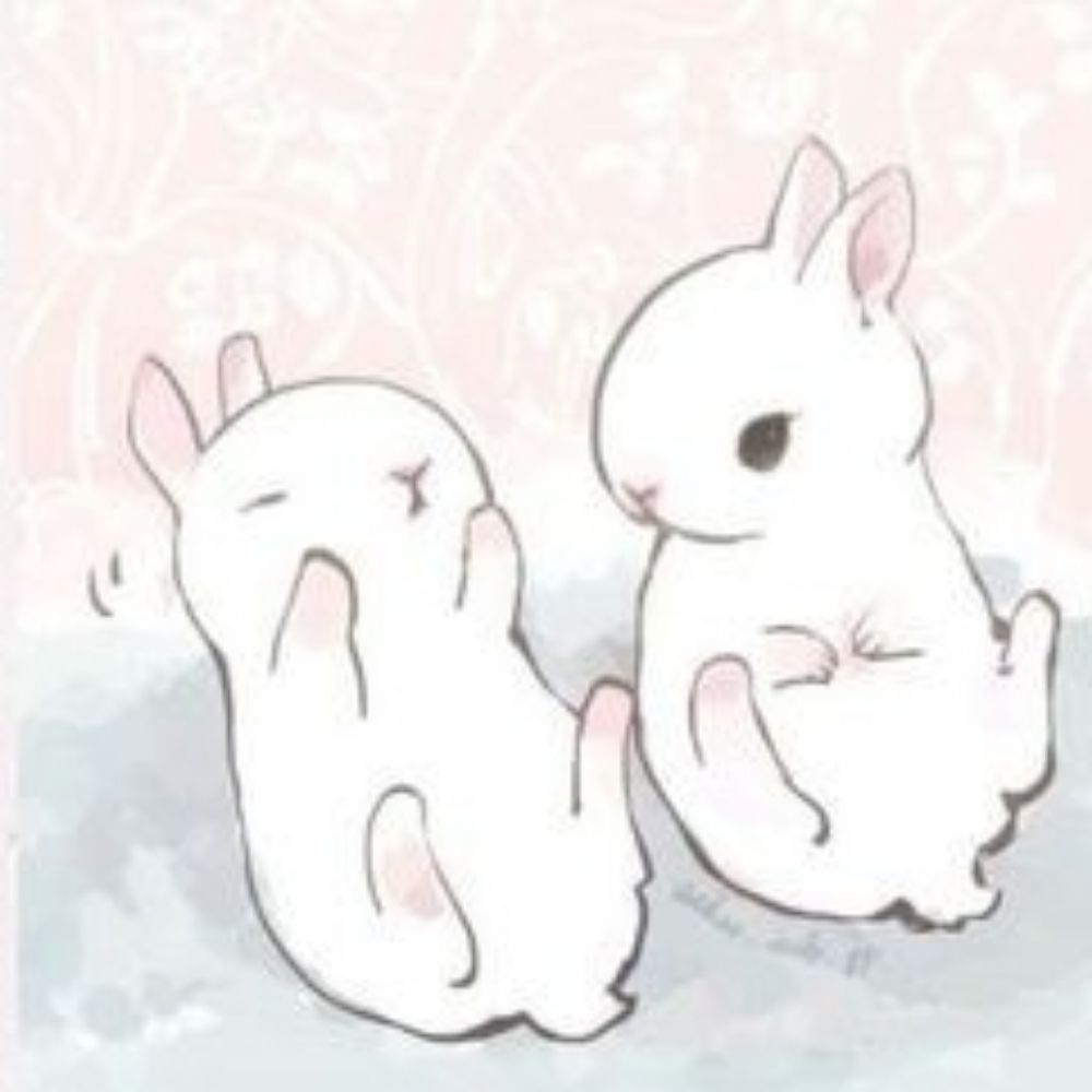 Bunny diary