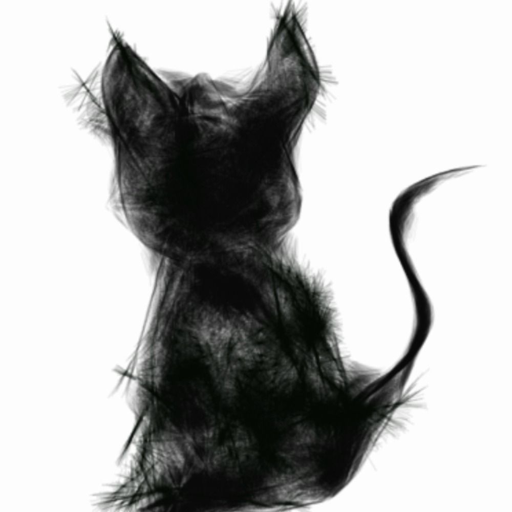 トロ猫