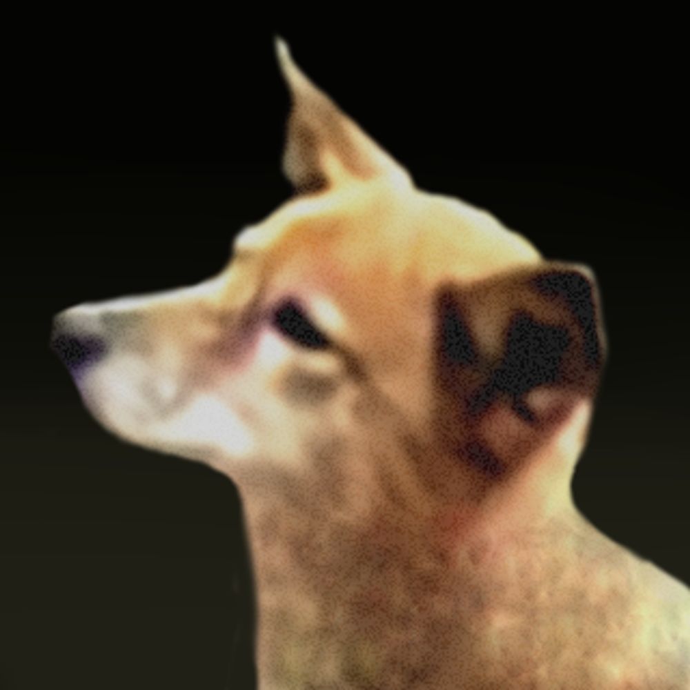 あおなん (aonan)