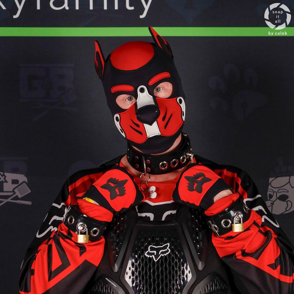 Puppy Anubis