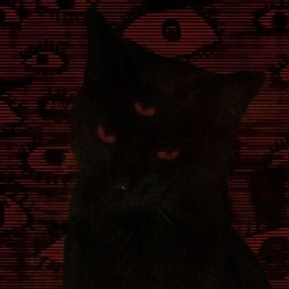 Hakamii