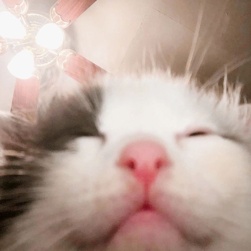 bаobao