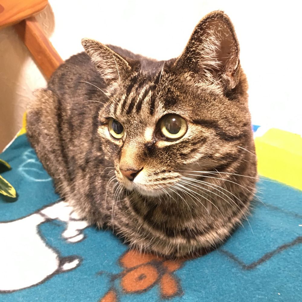 さあ働かう