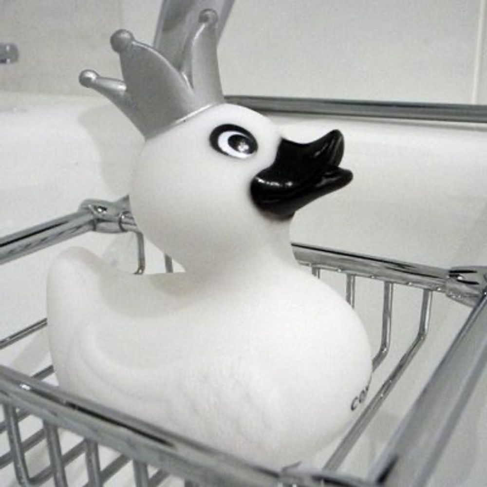 しらけい