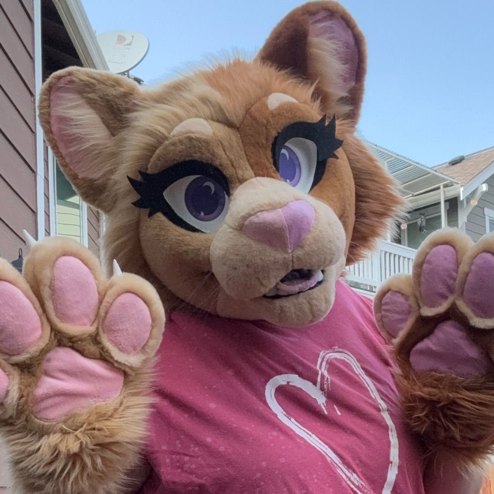 Pixie The Cat