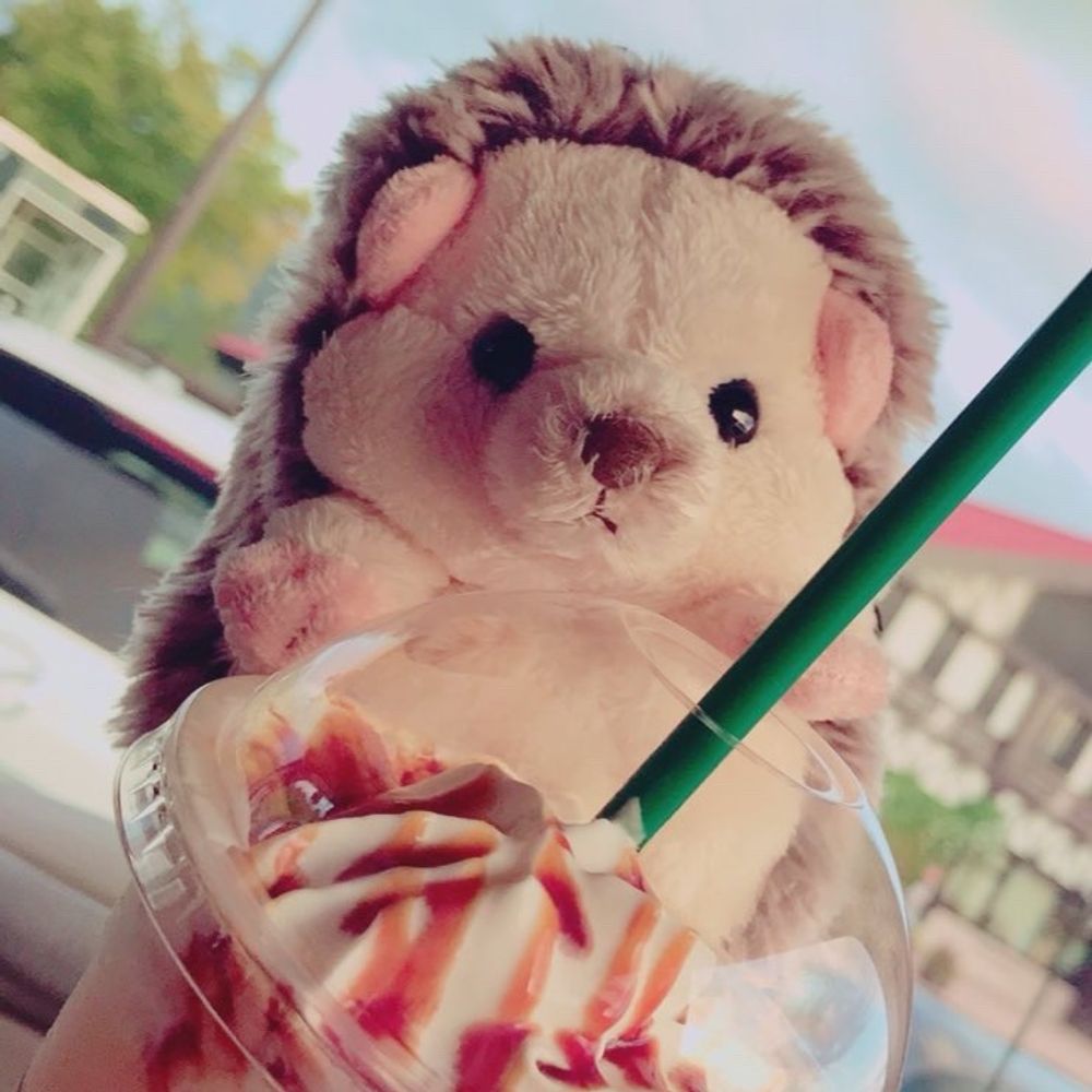 𓊆𝐍𝐨𝐚𓊇𓈒𓏸︎︎︎︎⿻