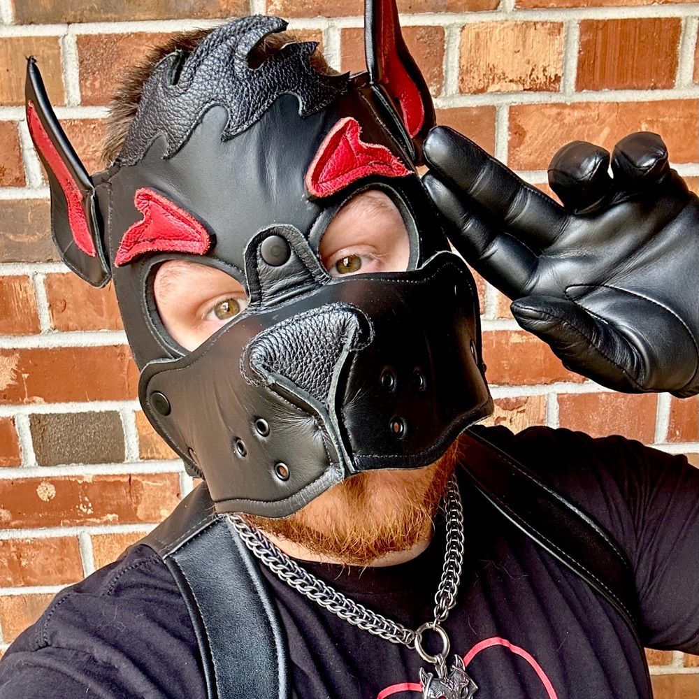 Pup Rollick