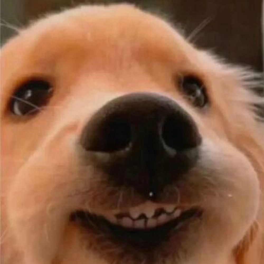 ชพ