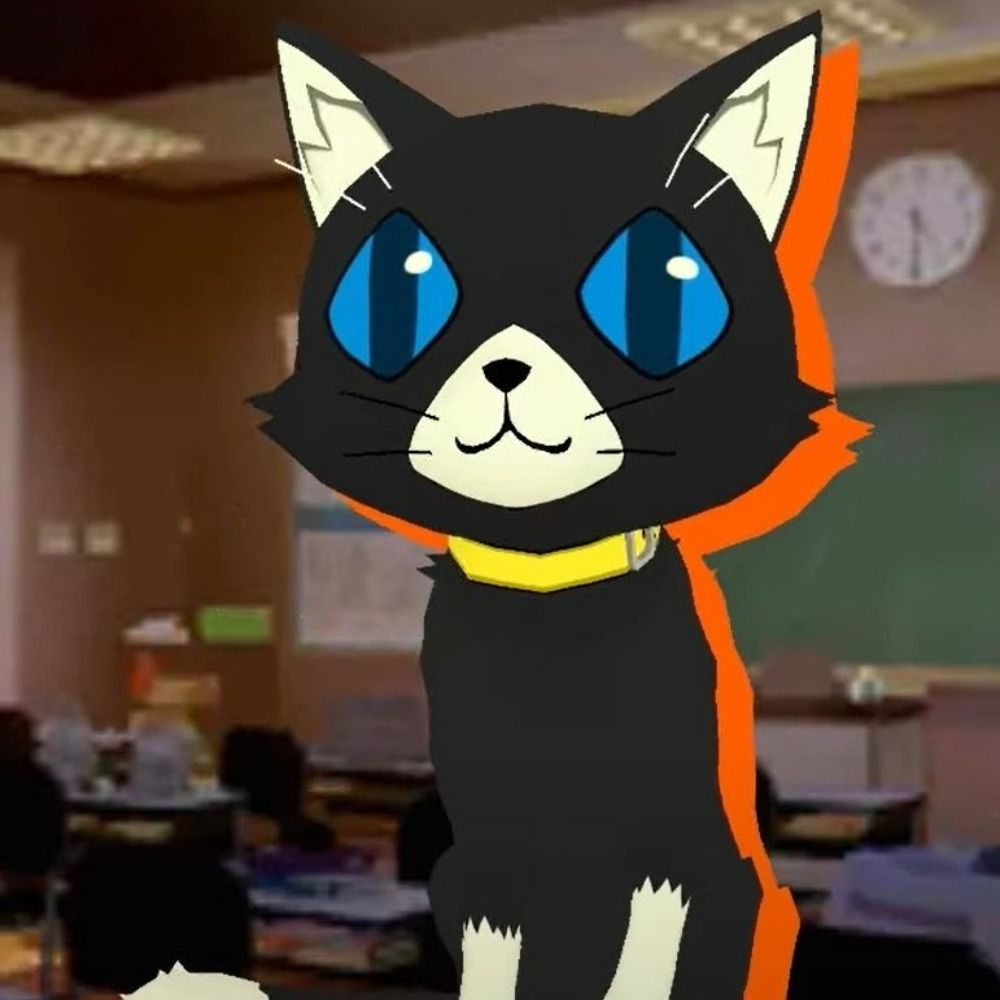 Rime meows loudly