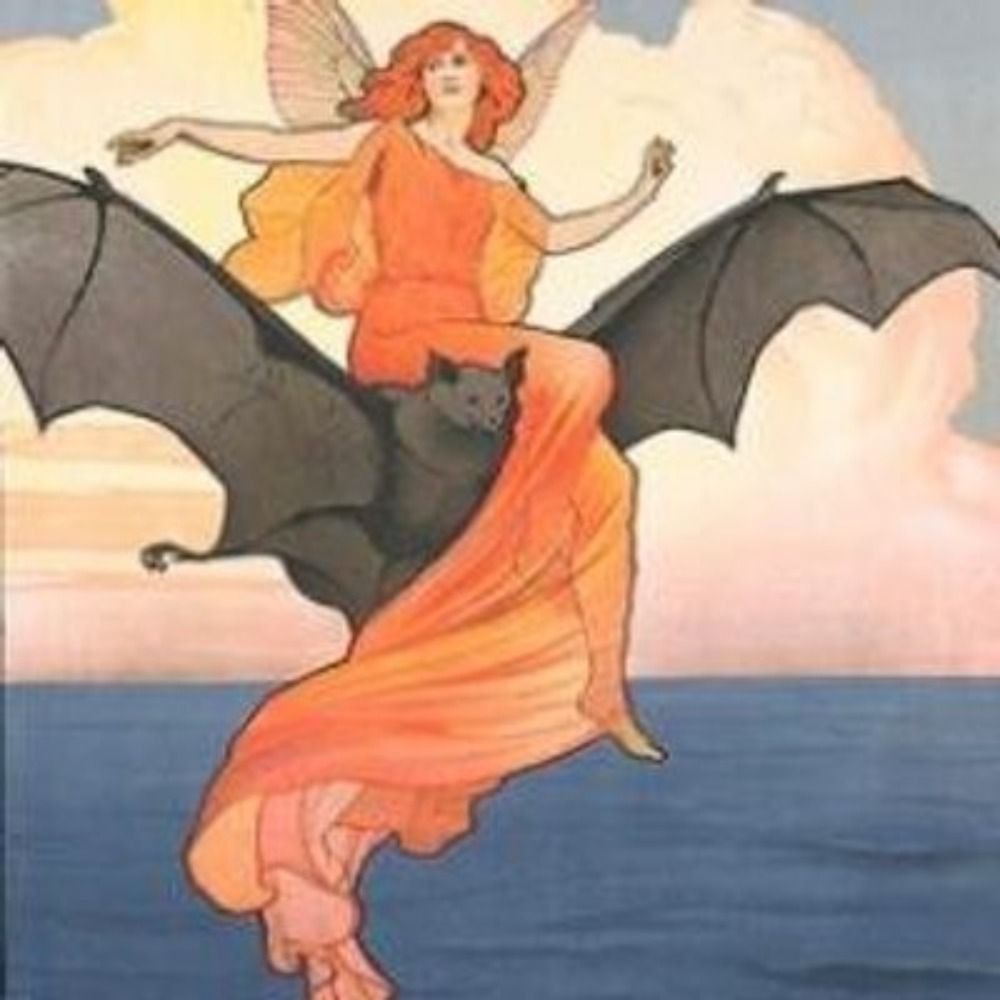 baterfly.bsky.social profile picture