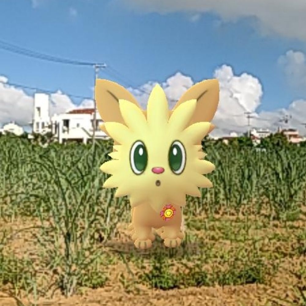 やず