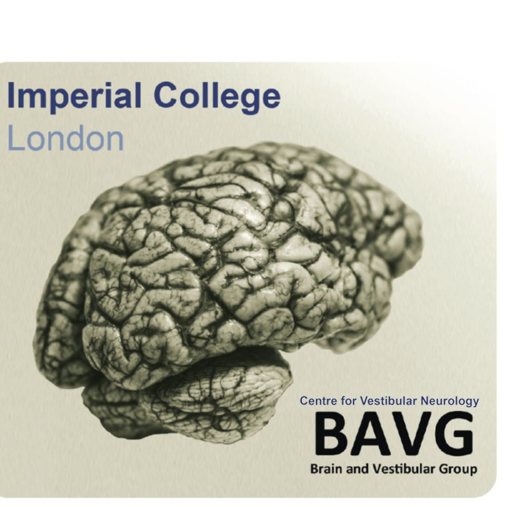 Brain And Vestibular Group - CENTRE FOR VESTIBULAR NEUROLOGY