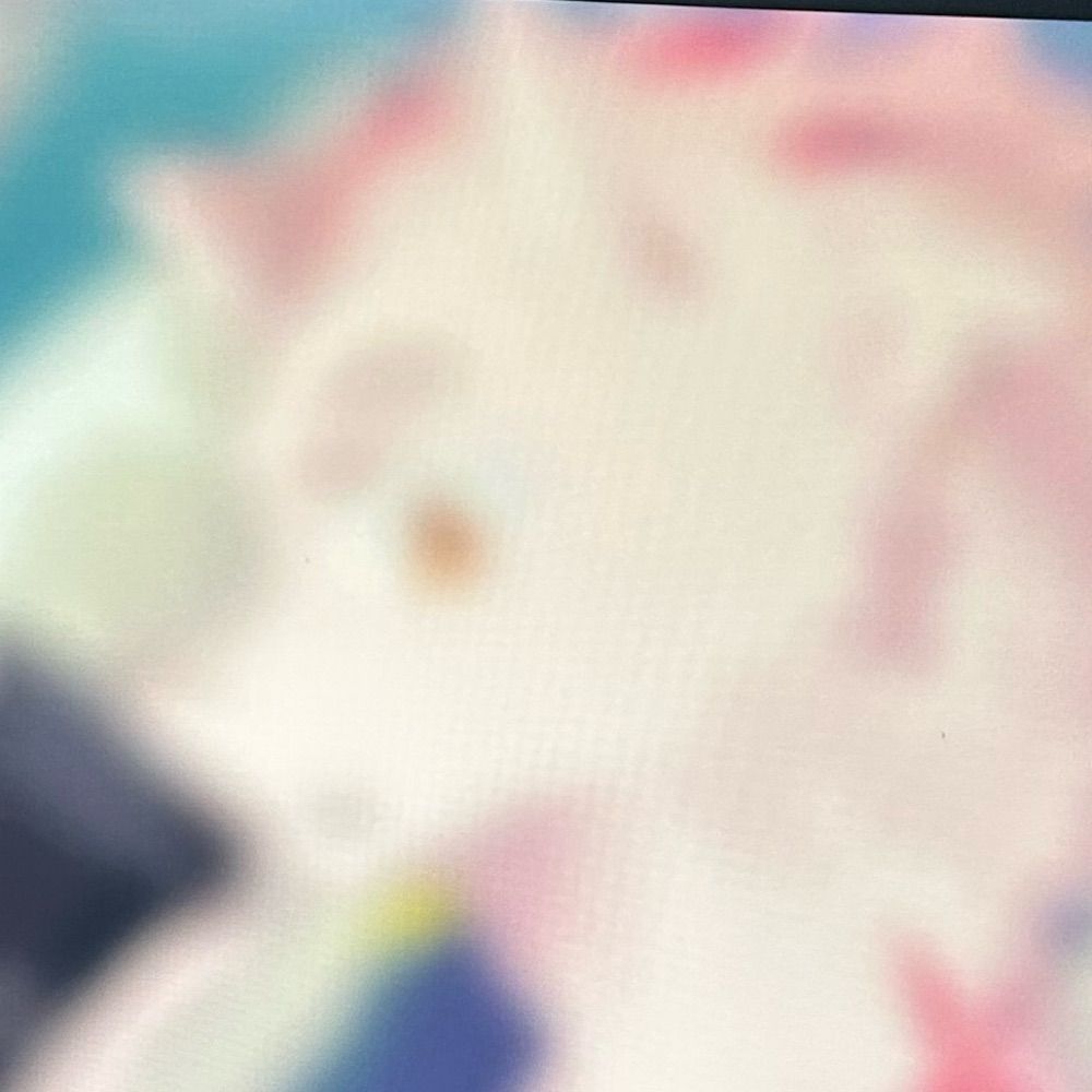 尾颂