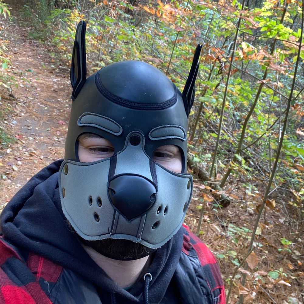 Scruffy Mutt