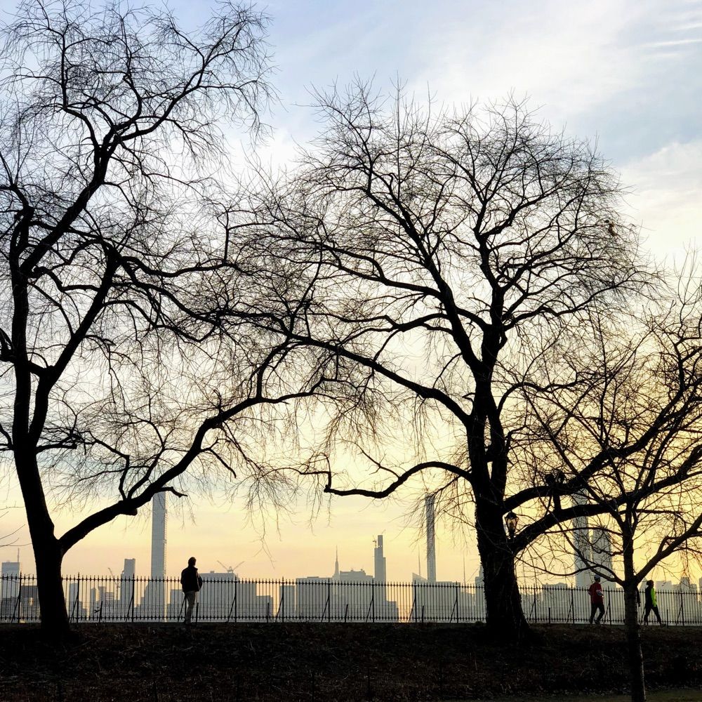 Here’s My New York