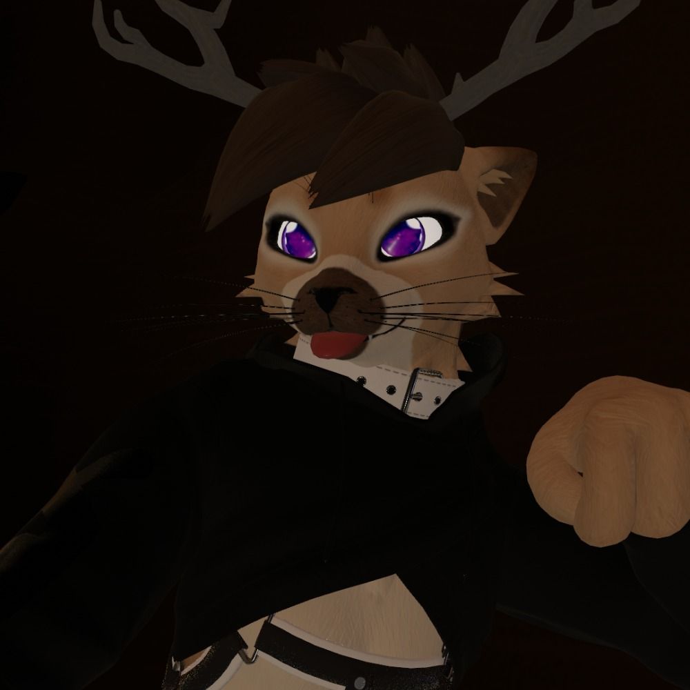 Zaphy