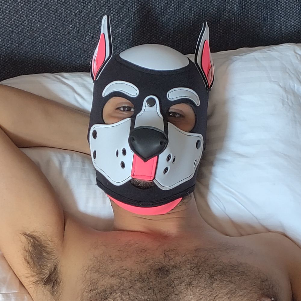 Pup Lapo (he/him)