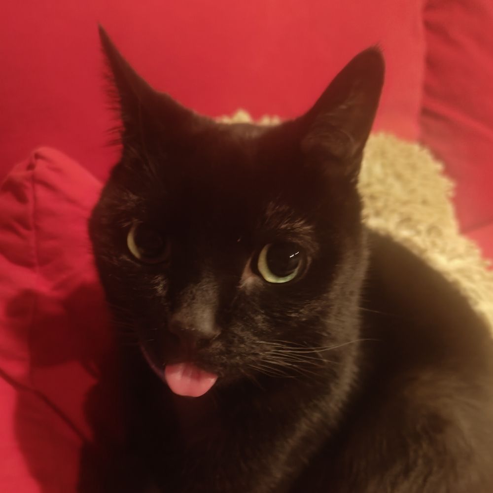 Juno!