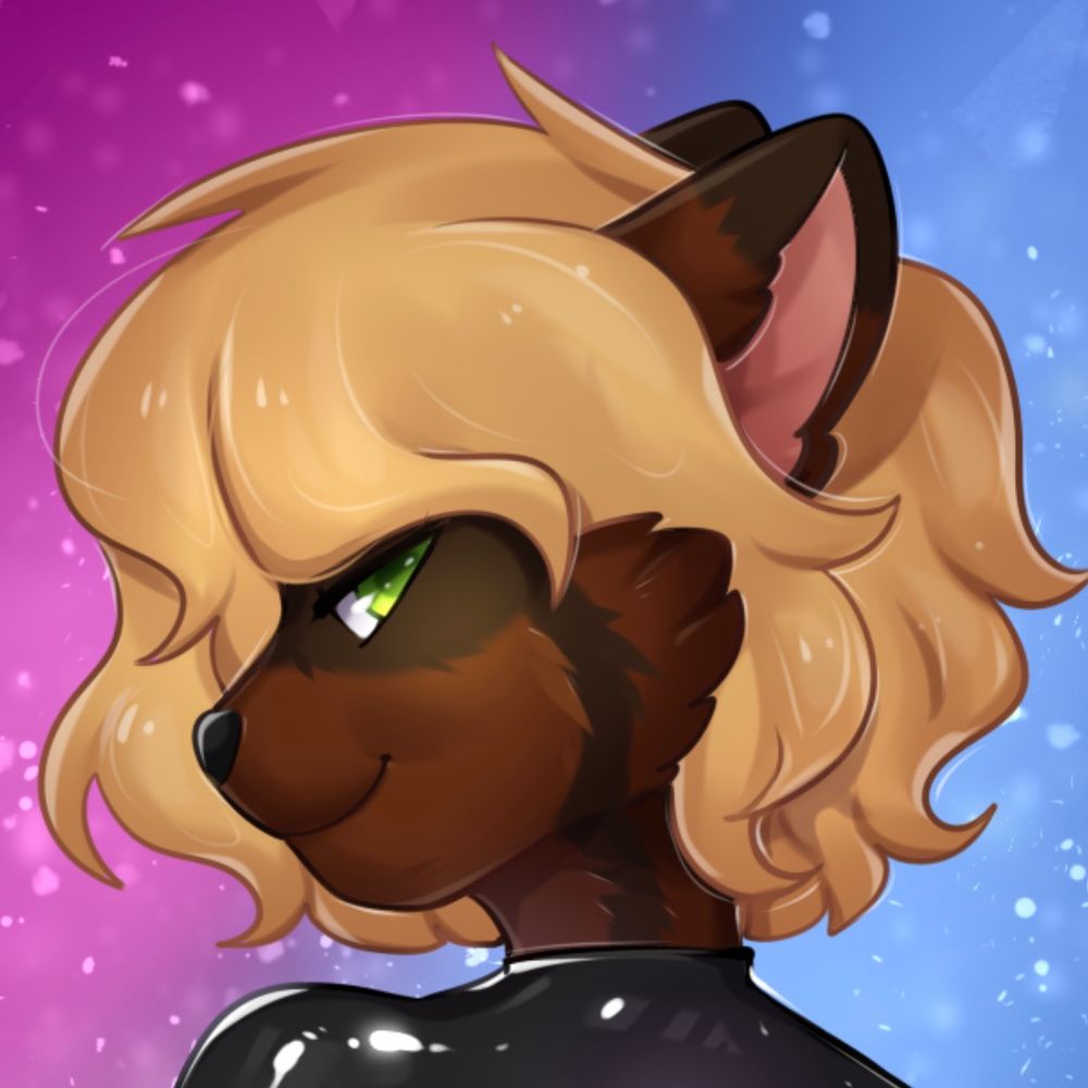 DominicTheRaccoon