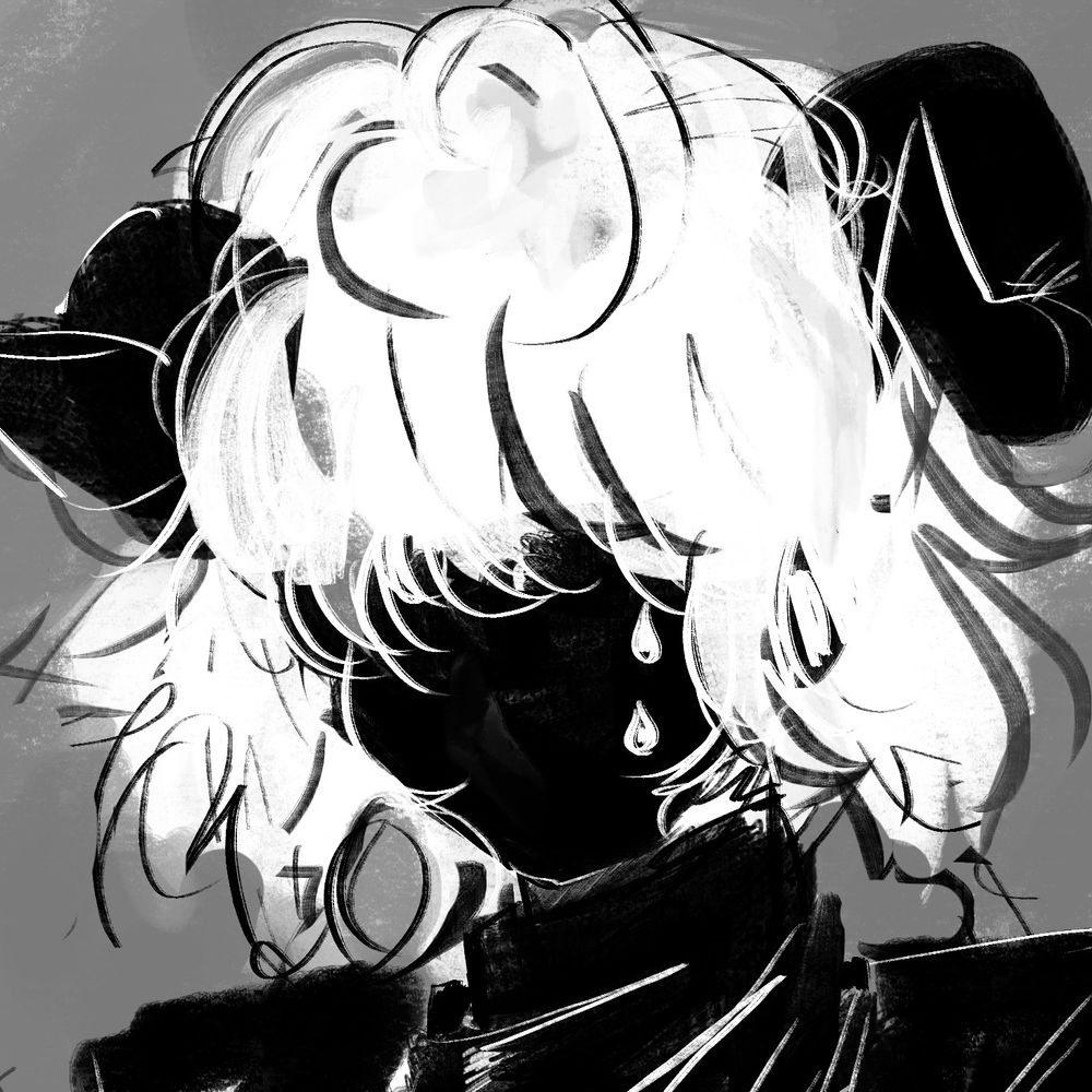 Ram (from the computer)