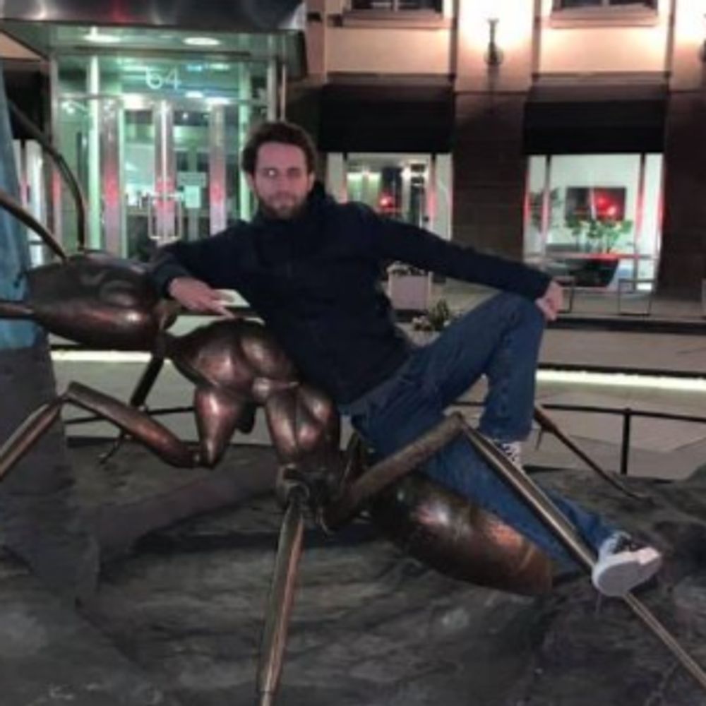 Mr.Ant