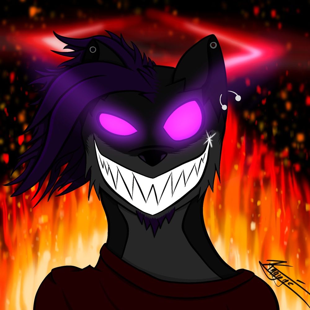 Kaaygi