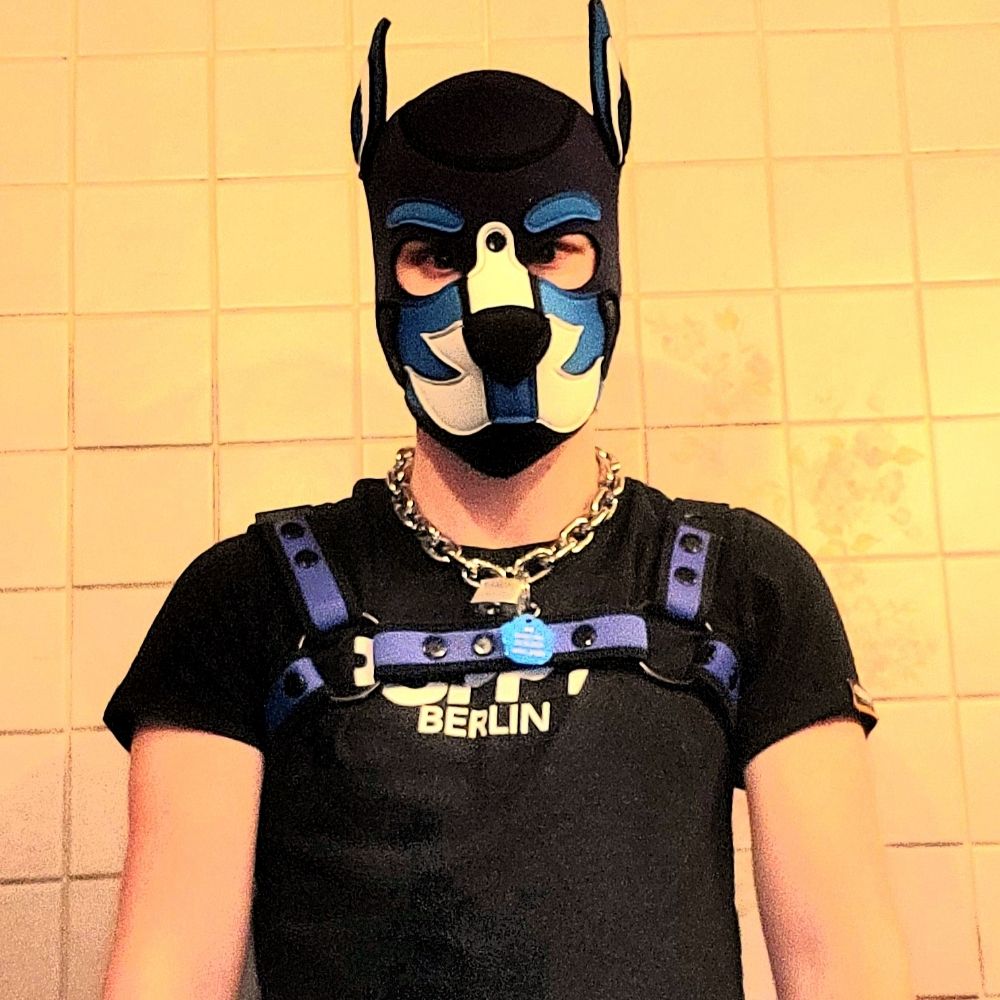 Pup_Tobi_Maja