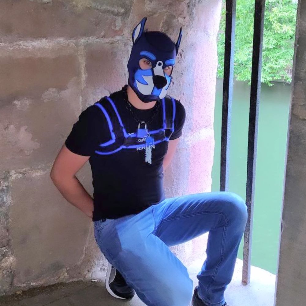 Pup_Tobi_
