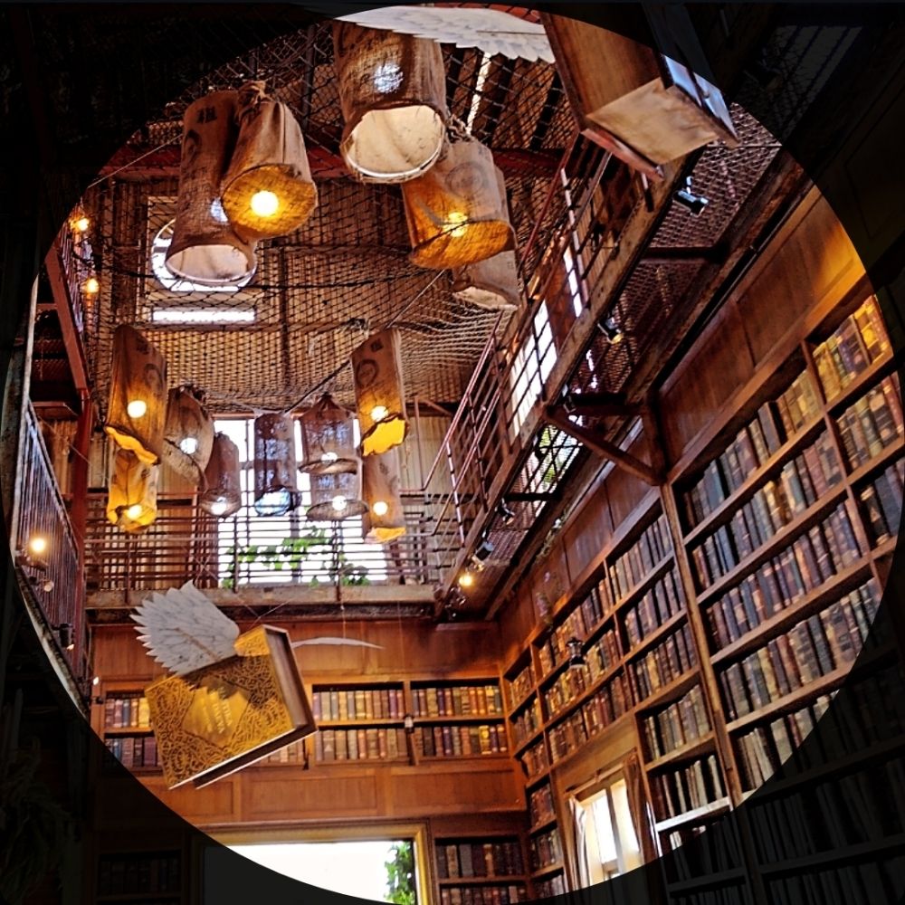 yangjun2092.bsky.social