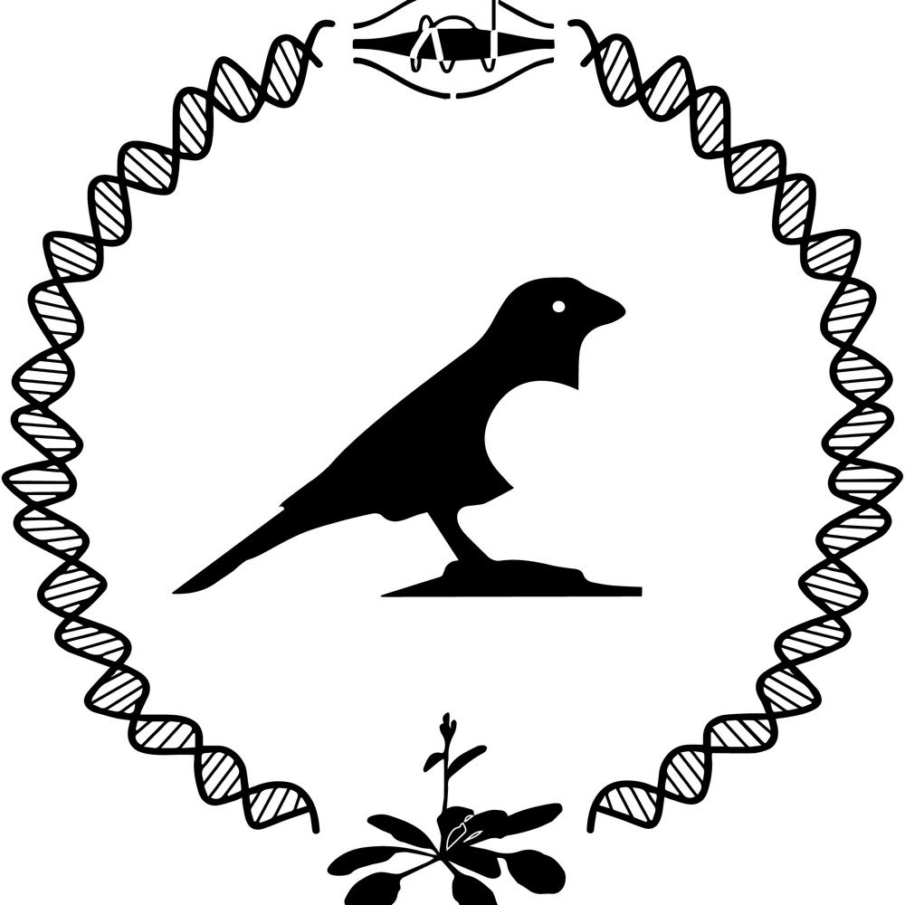 Finkemeier Lab