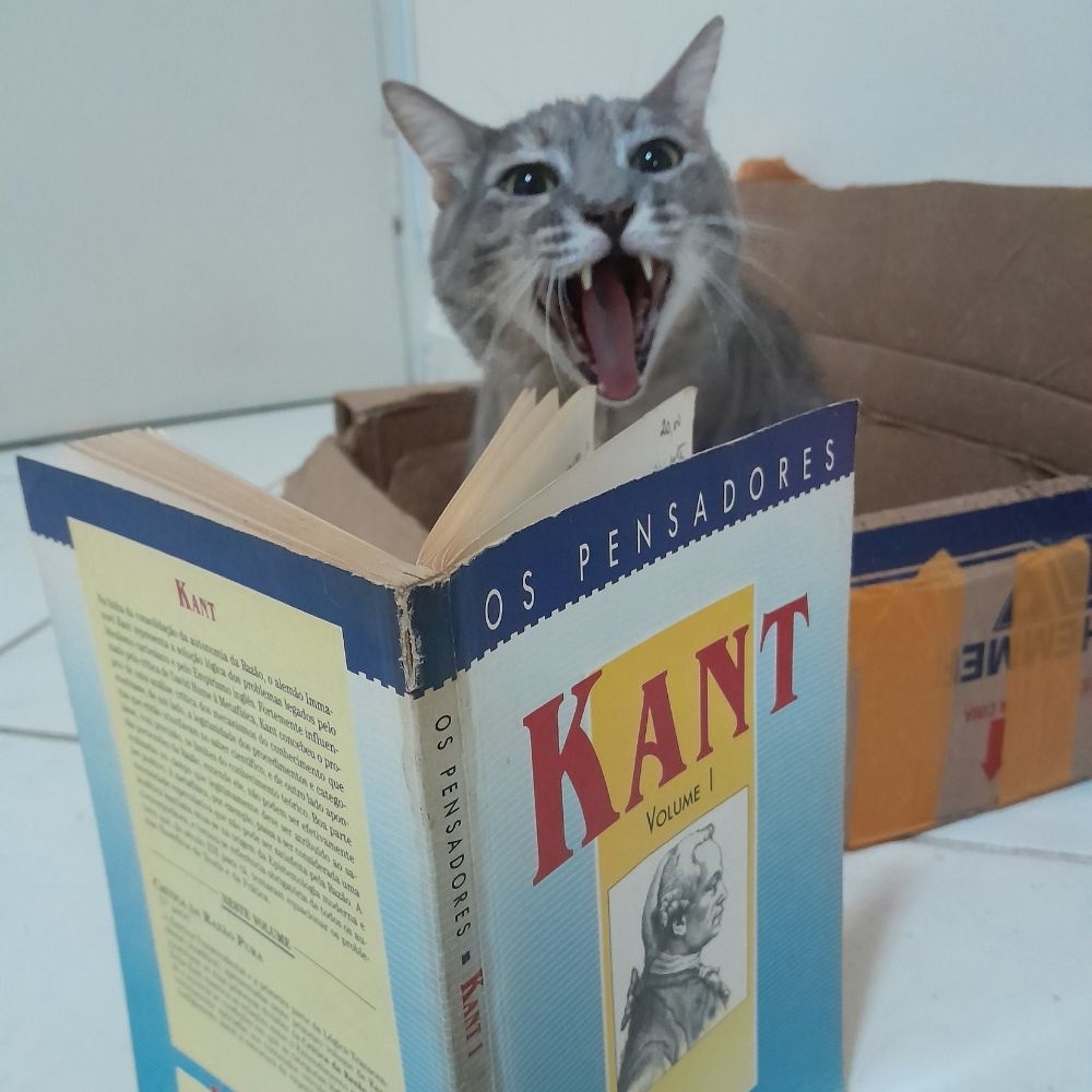 Só um ai