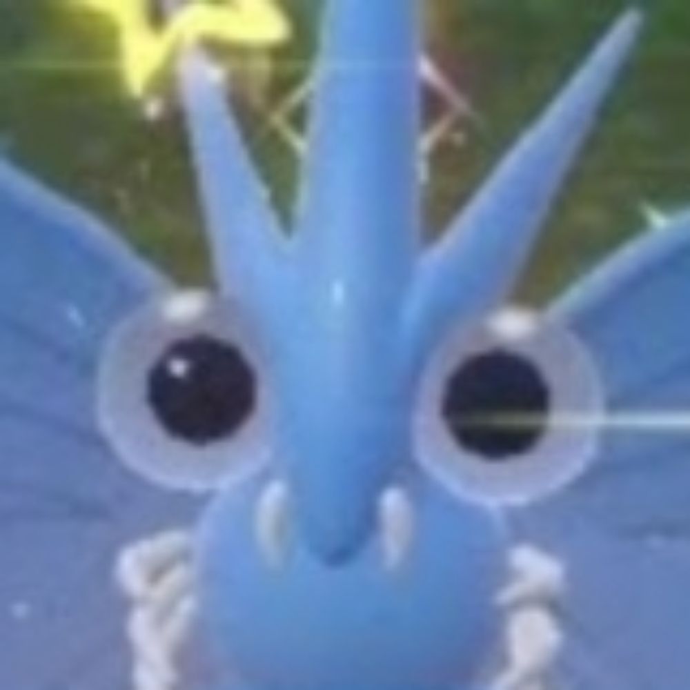 Moth