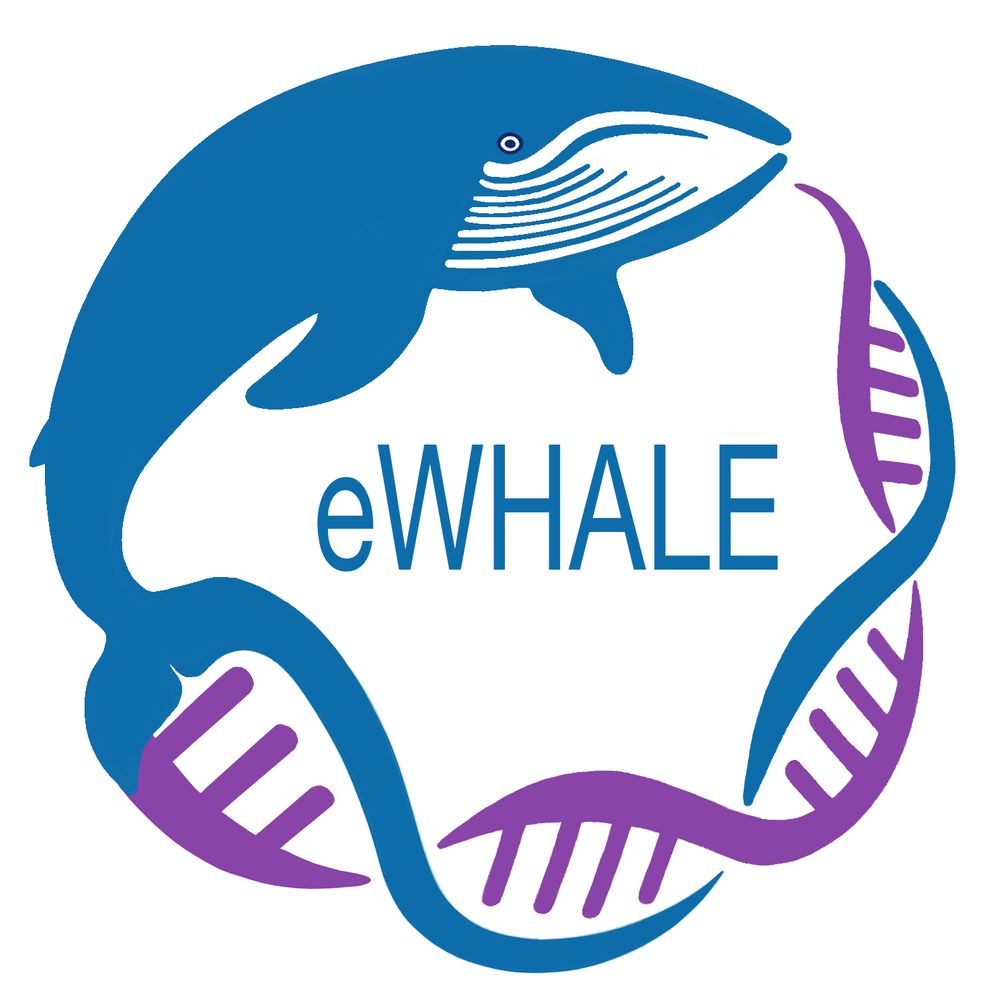 eWHALE