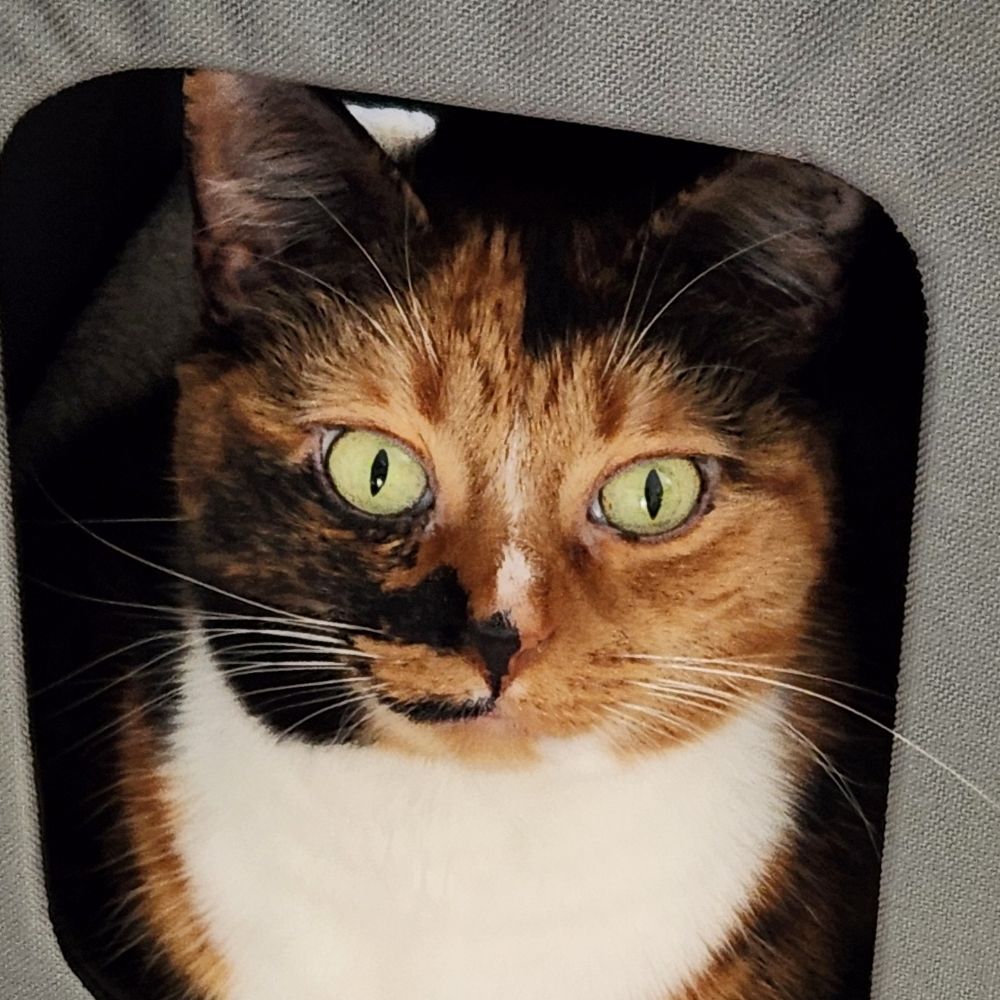 Lena