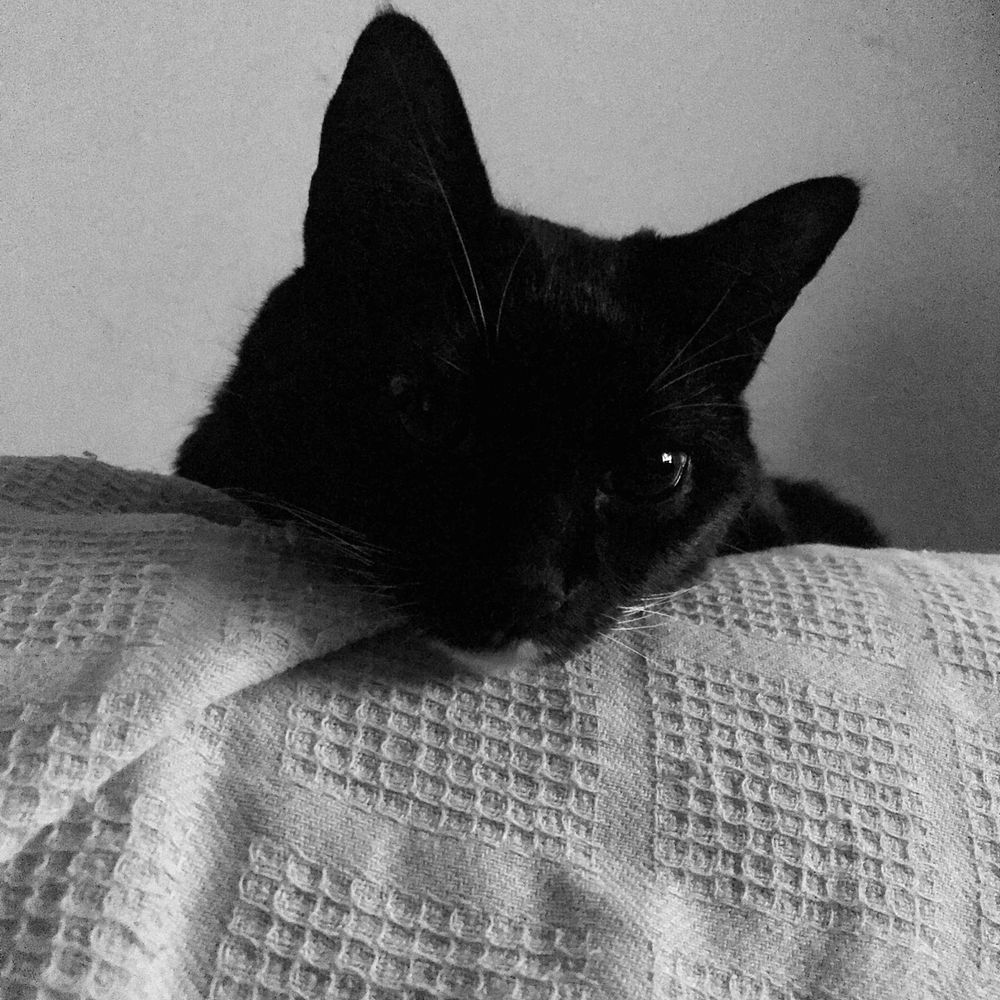 Cass