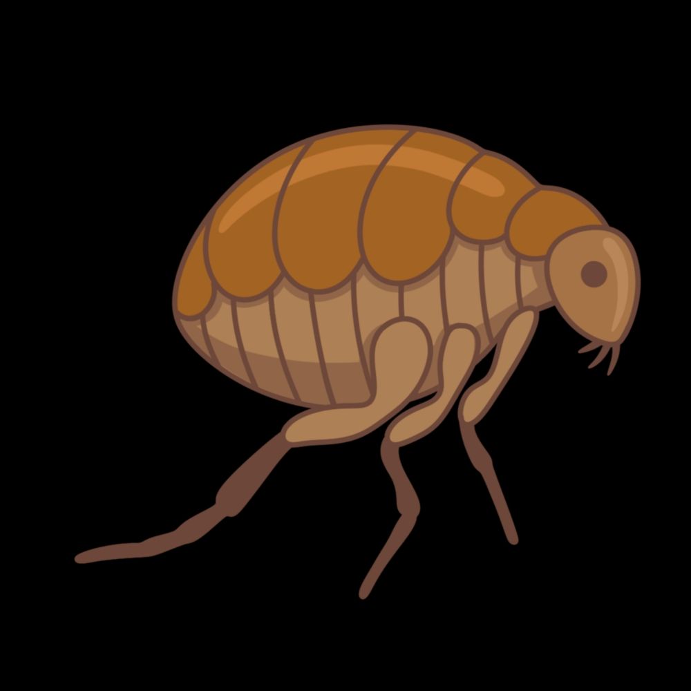 Rotten Little Flea