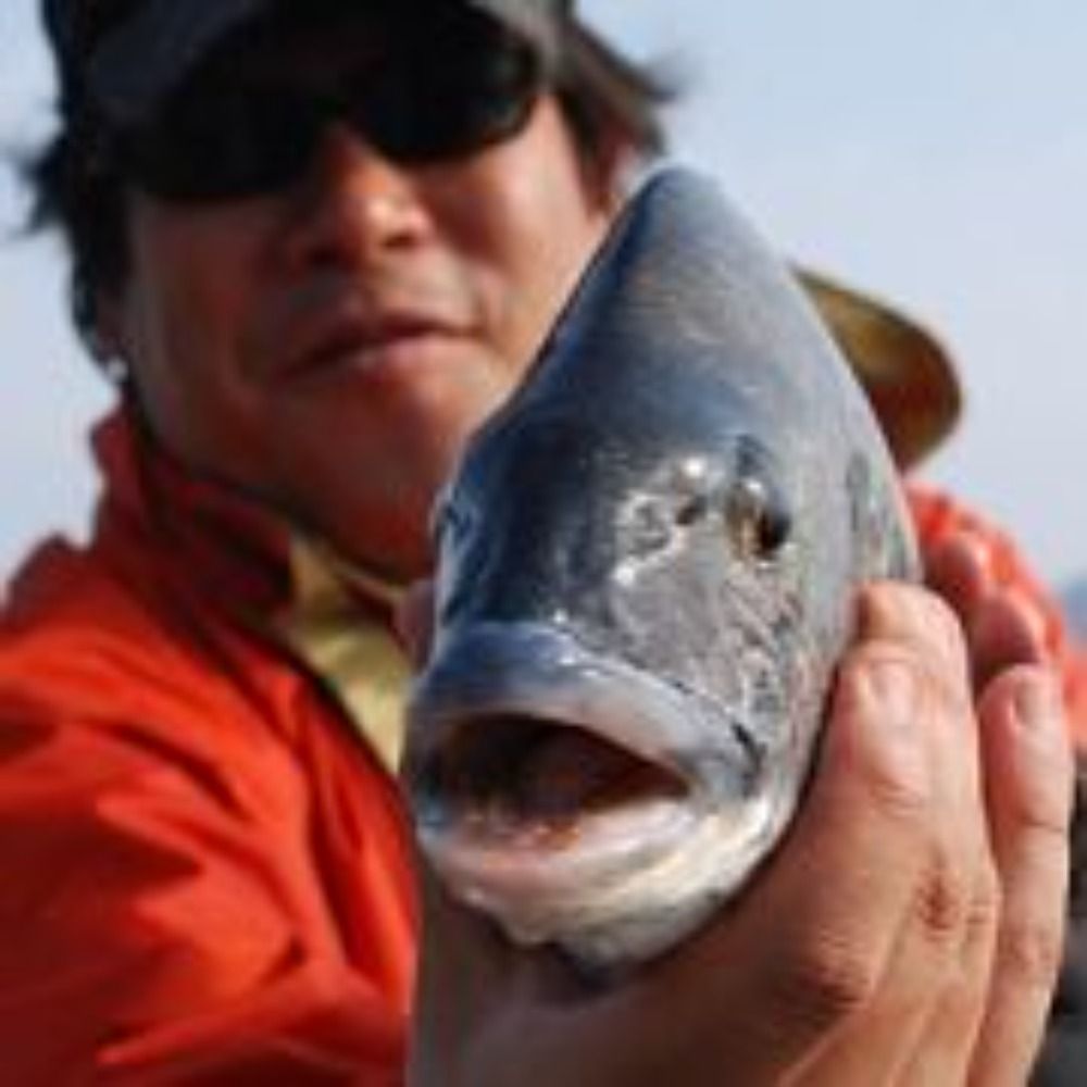 へた釣り