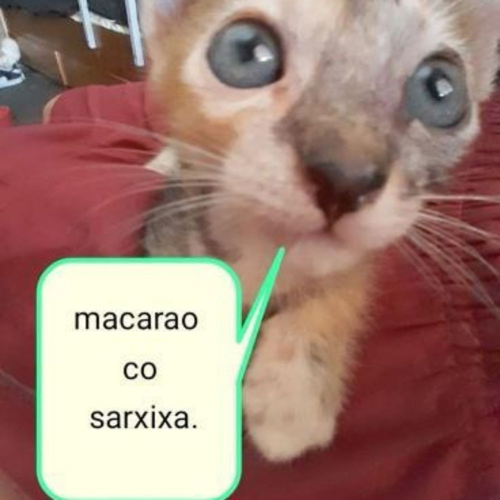 Euleiu