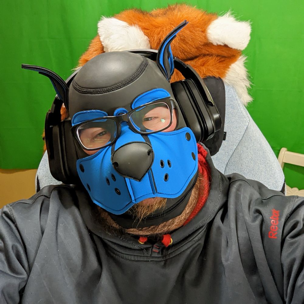 Pup_Nobo