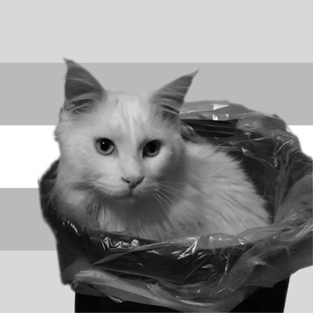 Katze von Schrott