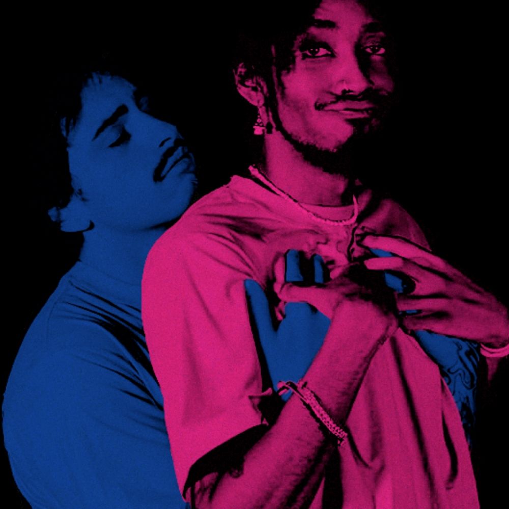 NZO