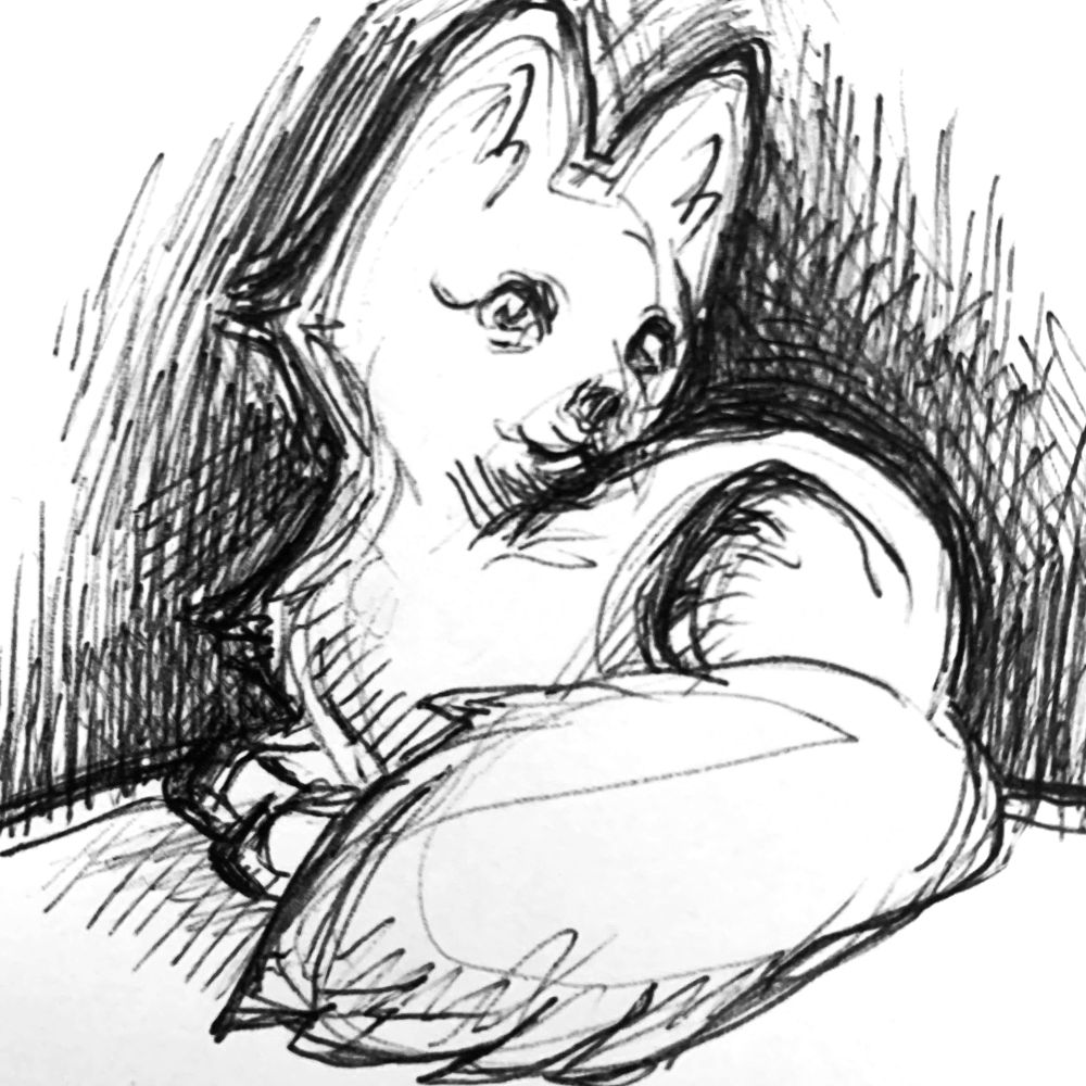 fox crows