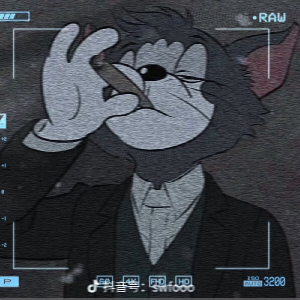 Cyber_Ravan