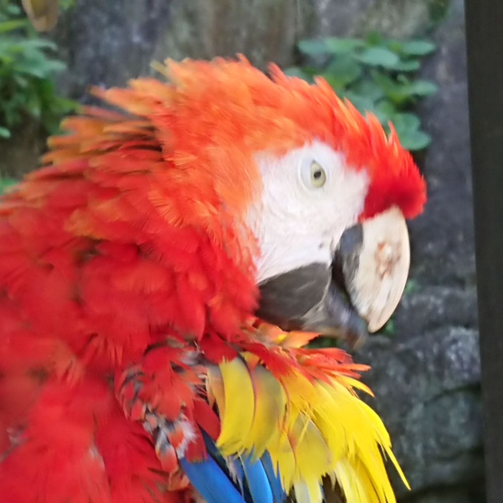 zoo