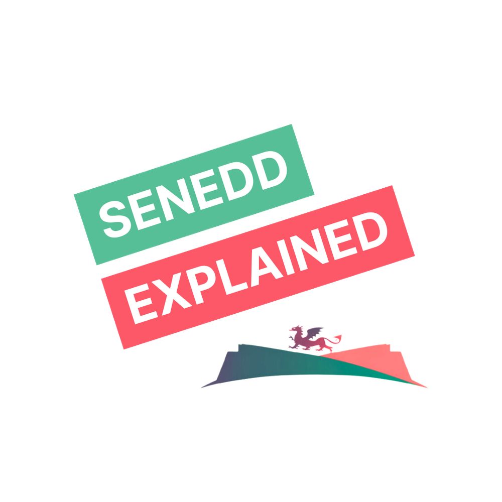Senedd Explained 