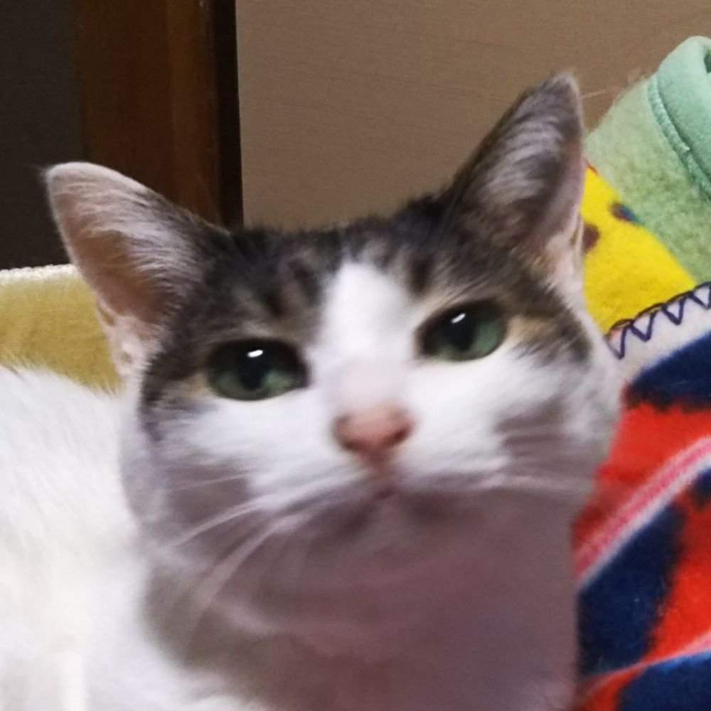 サブ君