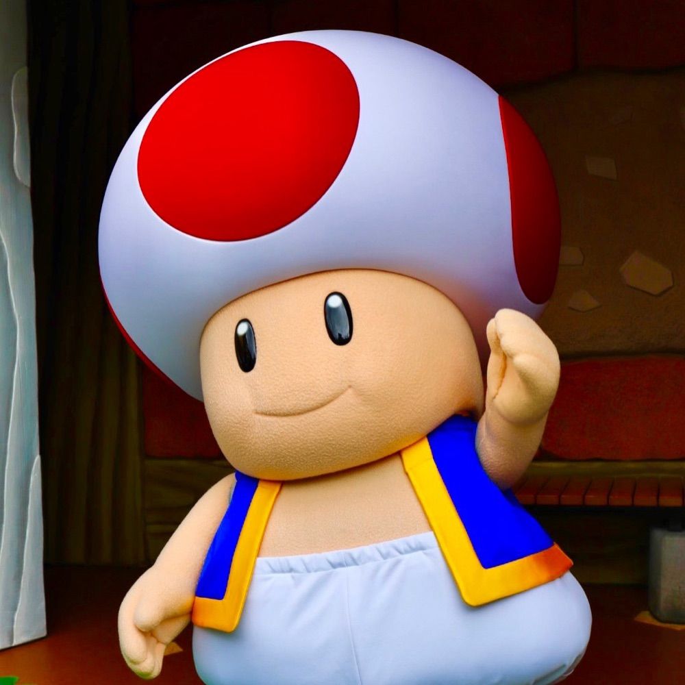 The Chonkytoad